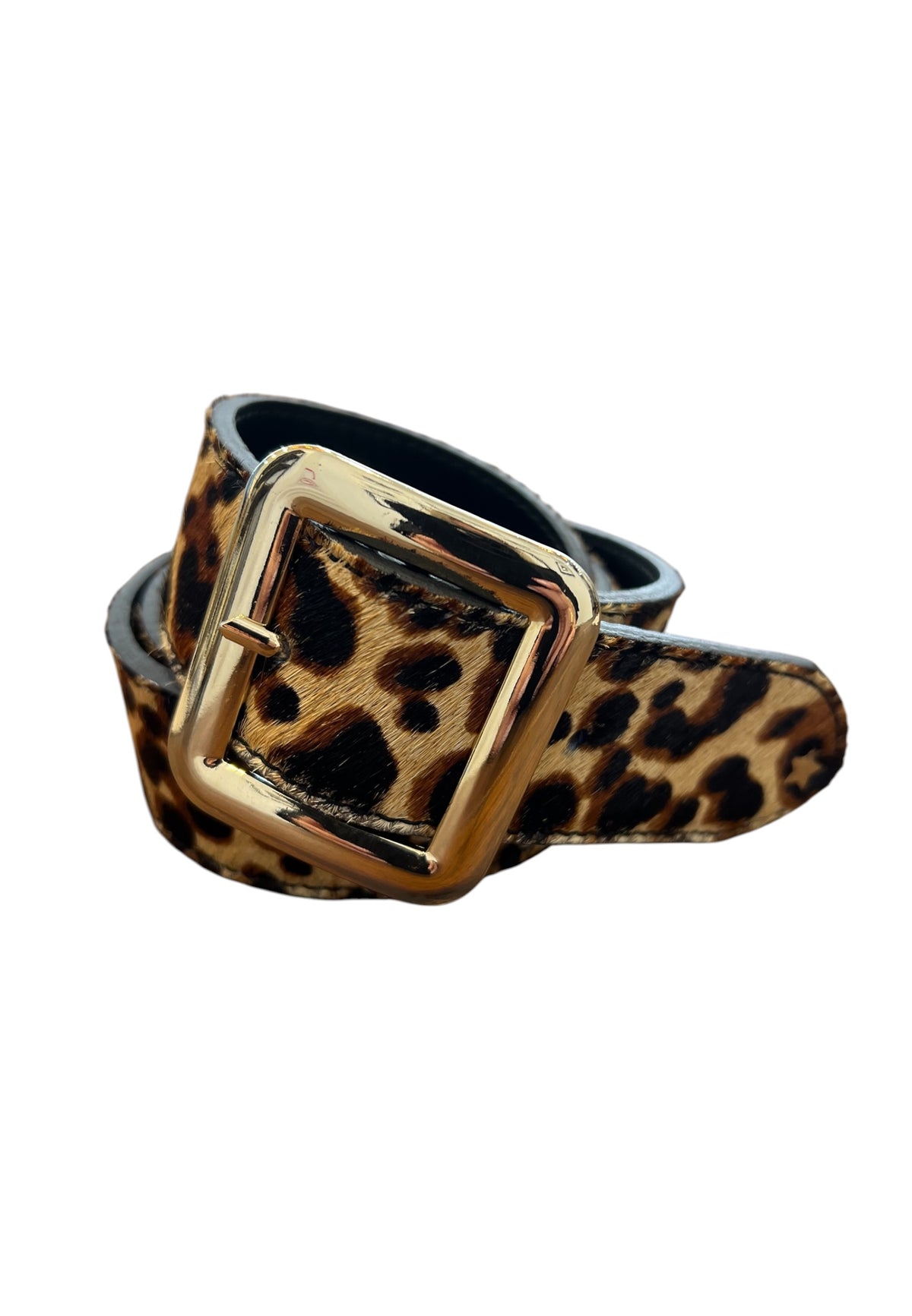 Kelly belt leopard